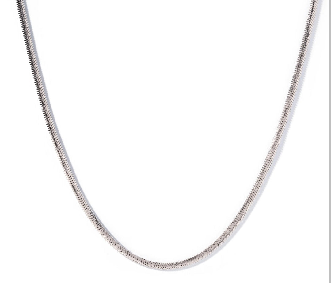 Silver Snake necklace