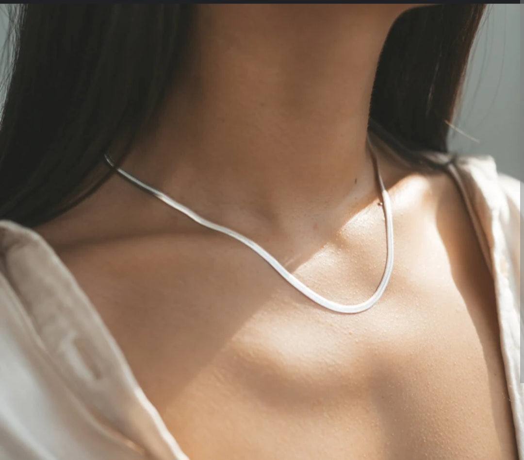Silver Snake necklace