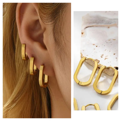 Oval earrings